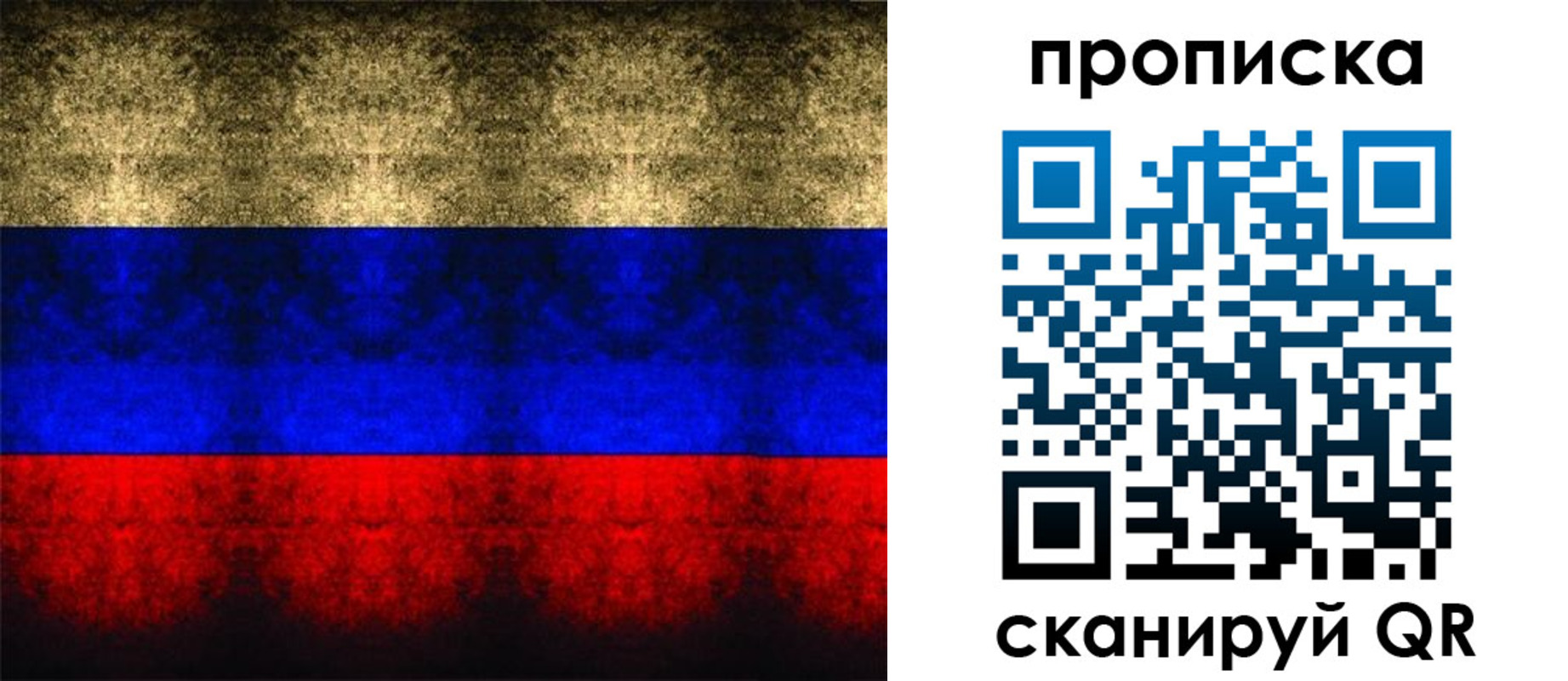 временная прописка в Шебекино